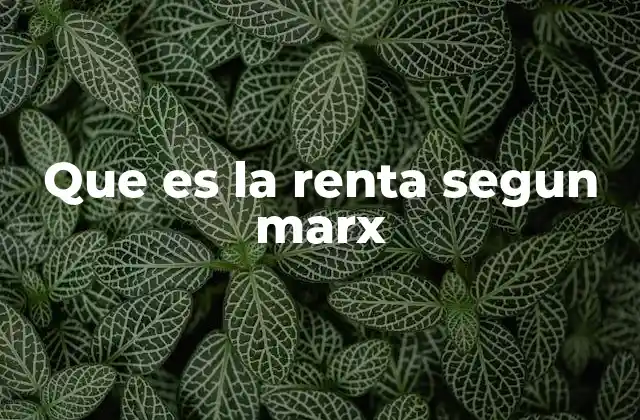El papel de la renta en la teoría marxista de la plusvalía
