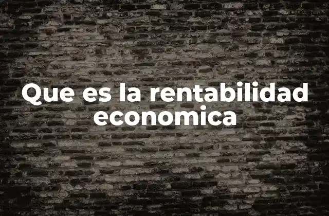 Que es la Rentabilidad Economica