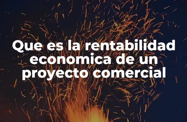 Que es la Rentabilidad Economica de un Proyecto Comercial
