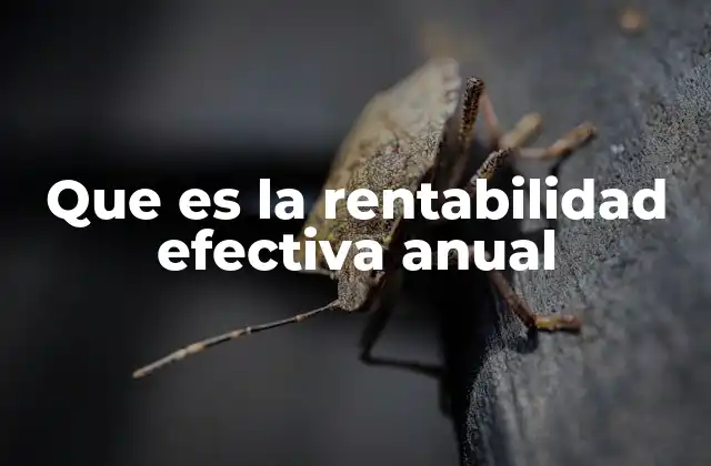 Que es la Rentabilidad Efectiva Anual