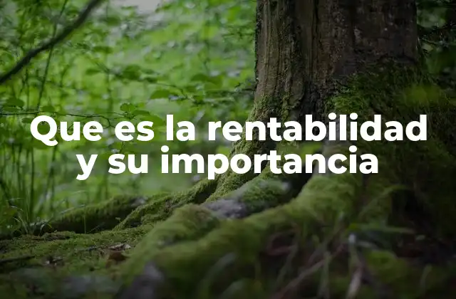 Que es la Rentabilidad y Su Importancia 2 La importancia de medir el rendimiento en las organizaciones