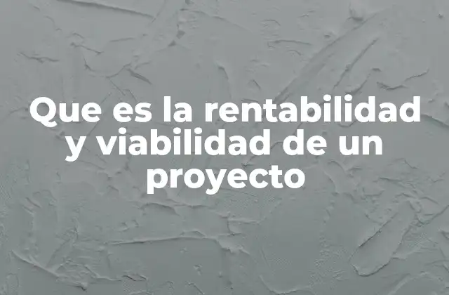 Que es la Rentabilidad y Viabilidad de un Proyecto