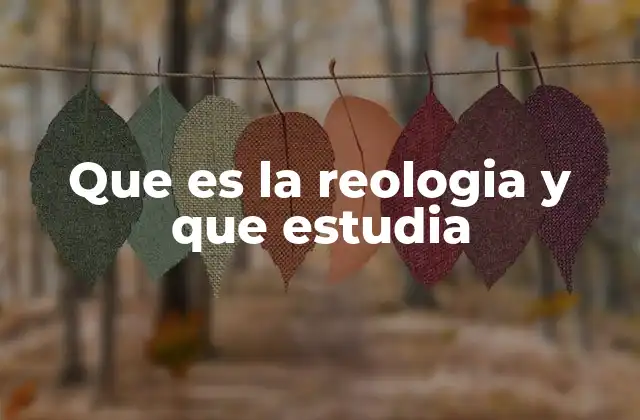Que es la Reologia y que Estudia