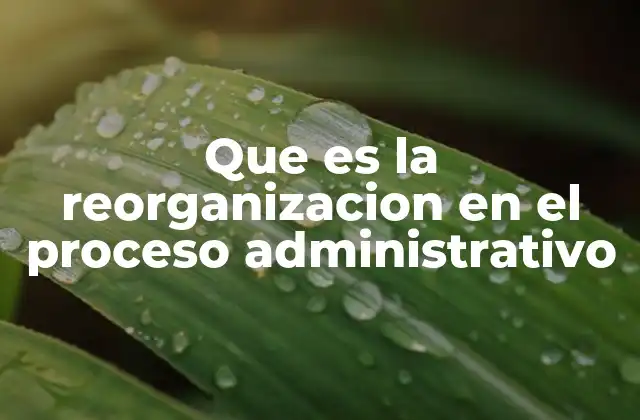 Que es la Reorganizacion en el Proceso Administrativo