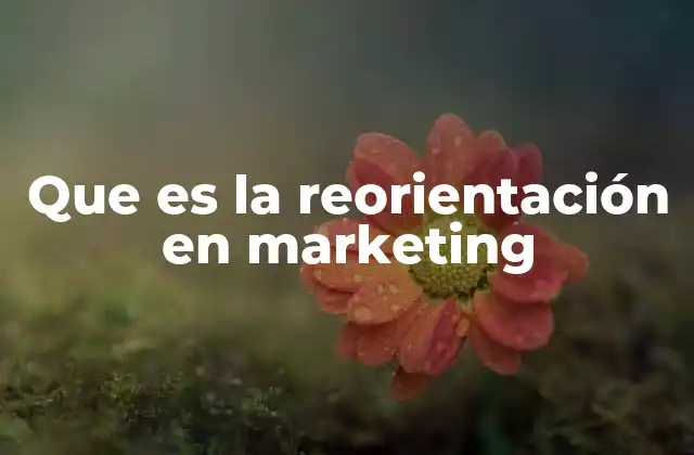 Que es la Reorientación en Marketing