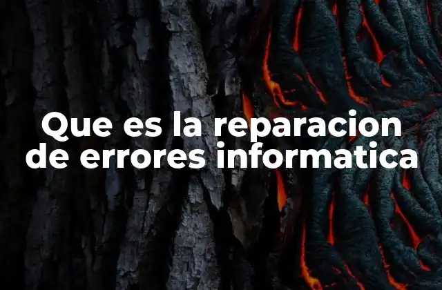 Que es la Reparacion de Errores Informatica