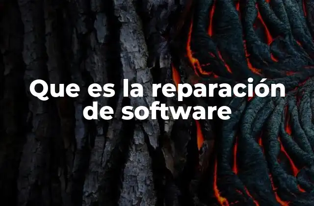 Que es la Reparación de Software