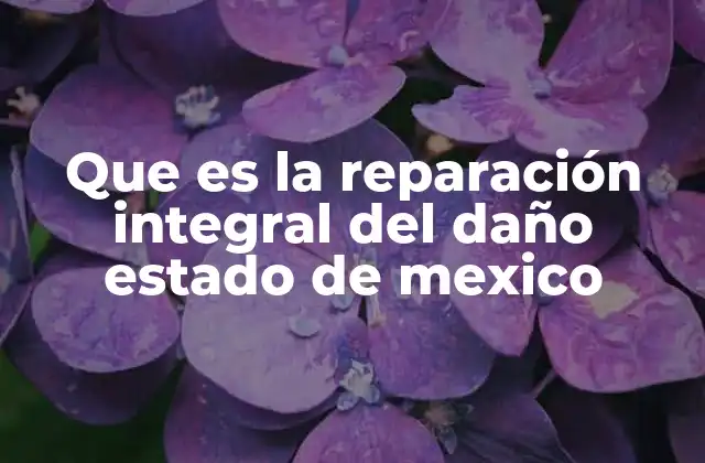 Que es la Reparación Integral Del Daño Estado de Mexico