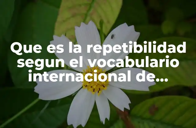 Que es la Repetibilidad Segun el Vocabulario Internacional de Metrologia
