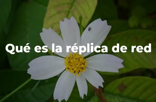 Qué es la Réplica de Red 2 El papel de la réplica en la gestión de datos moderna