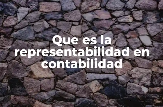 Que es la Representabilidad en Contabilidad