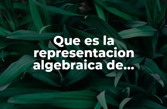 Que es la Representacion Algebraica de Expresiones en Lenguaje Algoritmico