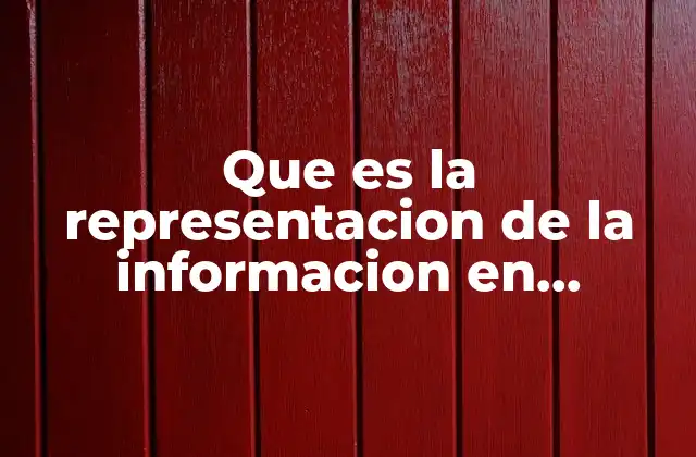 Que es la Representacion de la Informacion en Matematicas