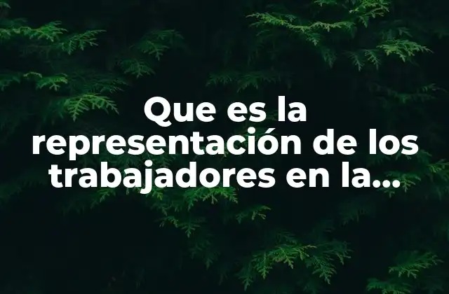 Que es la Representación de los Trabajadores en la Organización
