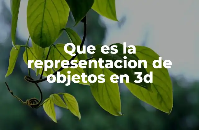 Que es la Representacion de Objetos en 3d