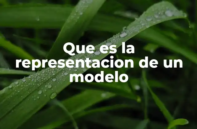 Cómo se construye una representación de un modelo