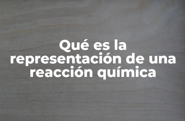 Qué es la Representación de una Reacción Química