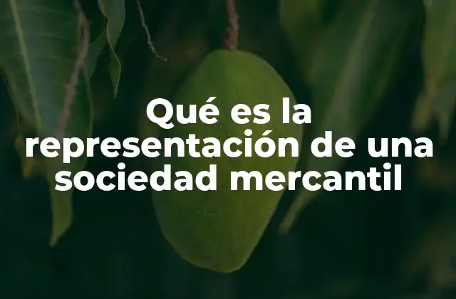 La importancia de la representación en el entorno empresarial