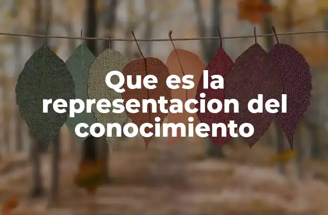 Que es la Representacion Del Conocimiento 2 Cómo se modela el conocimiento para su representación