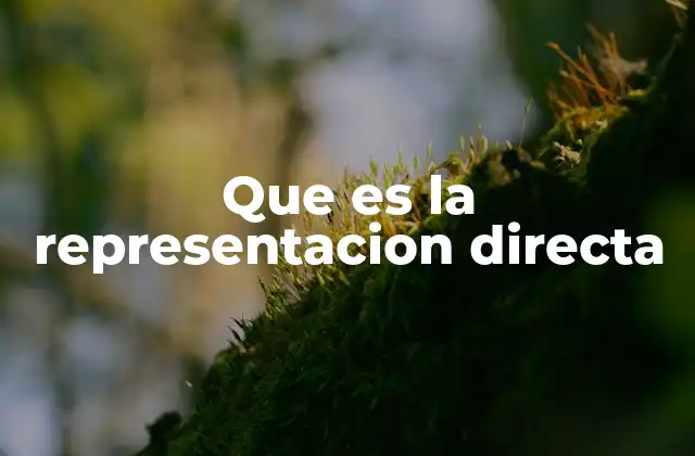 Que es la Representacion Directa