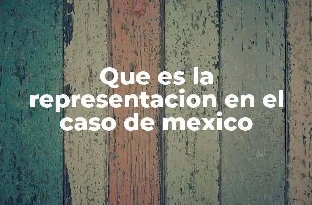 Que es la Representacion en el Caso de Mexico