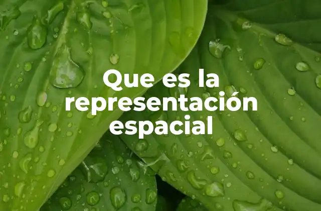 Que es la Representación Espacial