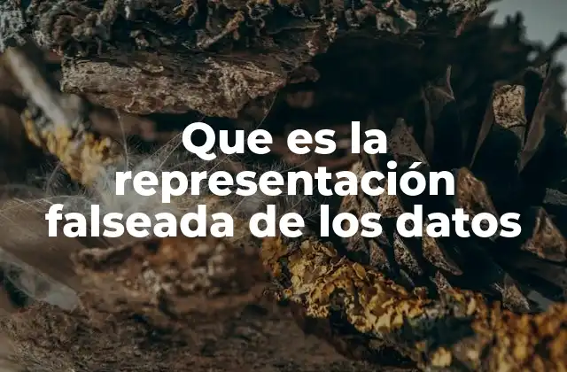 Que es la Representación Falseada de los Datos