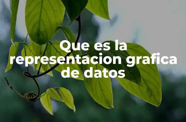 Que es la Representacion Grafica de Datos