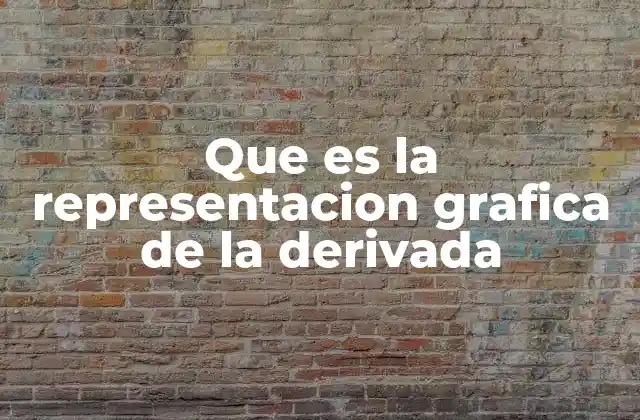 Que es la Representacion Grafica de la Derivada