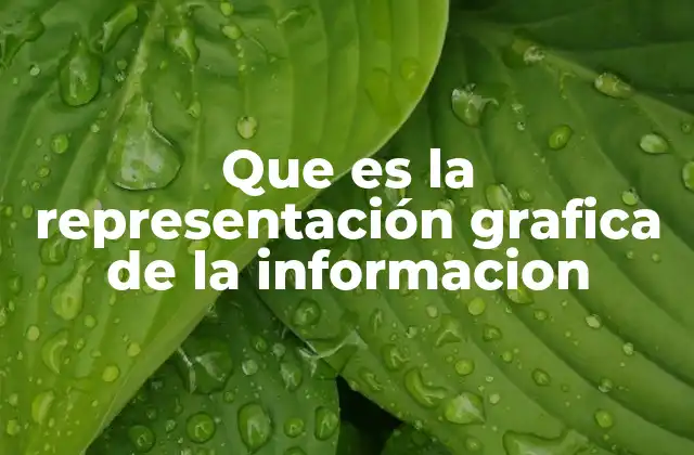 Que es la Representación Grafica de la Informacion