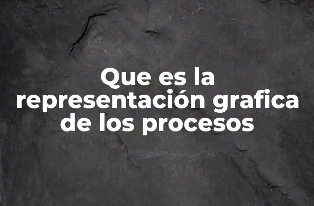 Que es la Representación Grafica de los Procesos