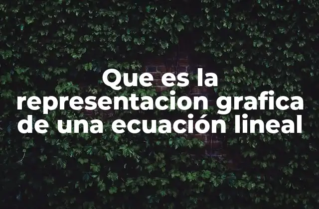 Que es la Representacion Grafica de una Ecuación Lineal