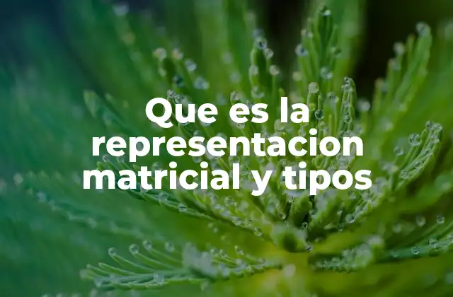 Que es la Representacion Matricial y Tipos