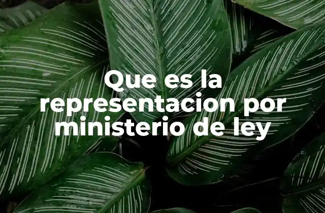 Que es la Representacion por Ministerio de Ley