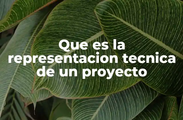 Que es la Representacion Tecnica de un Proyecto