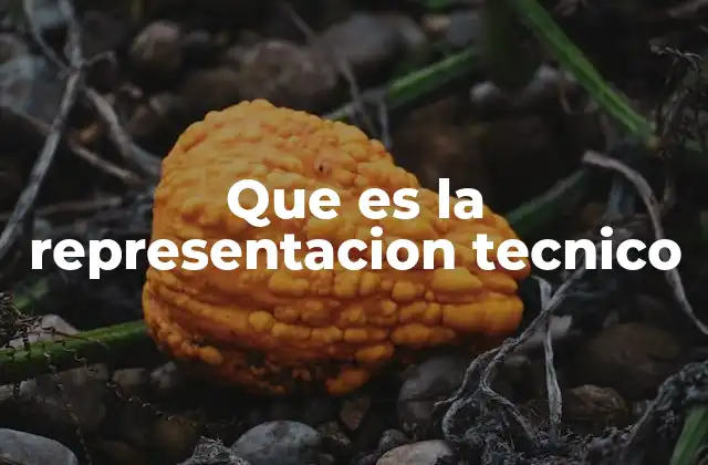 Que es la Representacion Tecnico