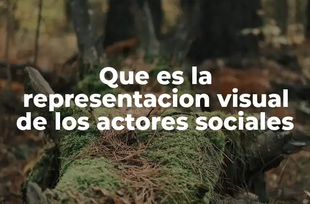 Visualizando la complejidad social