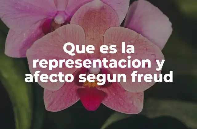 Que es la Representacion y Afecto Segun Freud