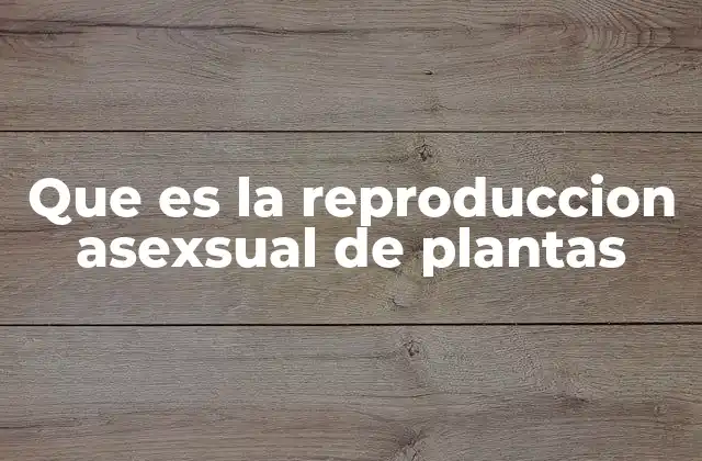 Que es la Reproduccion Asexsual de Plantas