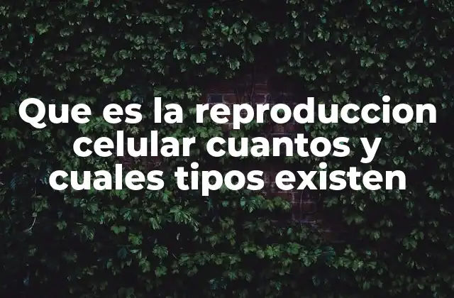 Que es la Reproduccion Celular Cuantos y Cuales Tipos Existen