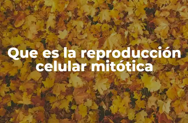 Que es la Reproducción Celular Mitótica