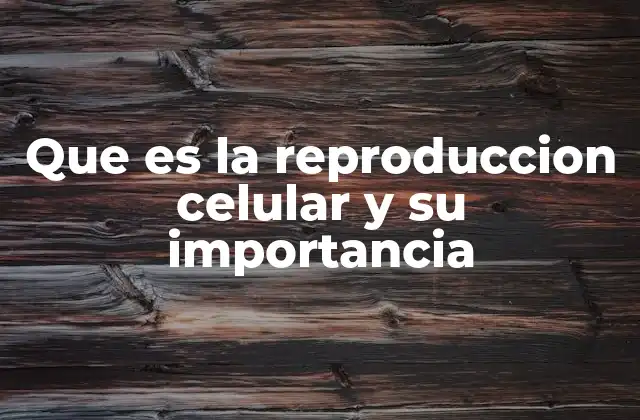 Que es la Reproduccion Celular y Su Importancia