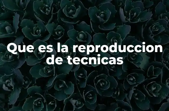 Que es la Reproduccion de Tecnicas