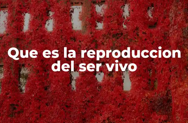 Que es la Reproduccion Del Ser Vivo