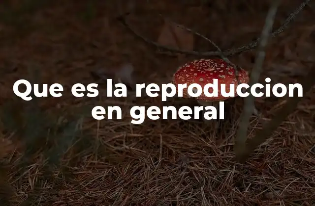 Que es la Reproduccion en General