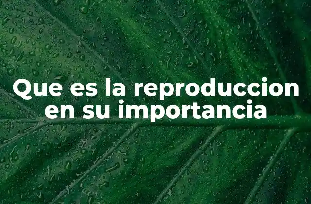 Que es la Reproduccion en Su Importancia