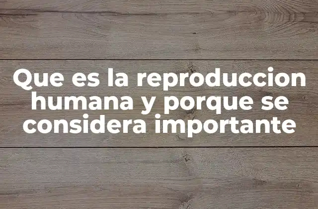 Que es la Reproduccion Humana y Porque Se Considera Importante