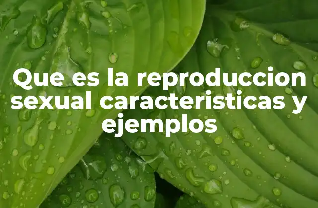 Que es la Reproduccion Sexual Caracteristicas y Ejemplos