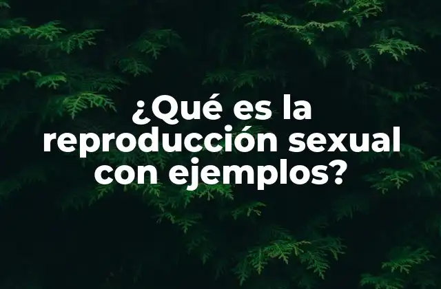 ¿qué es la Reproducción Sexual con Ejemplos?