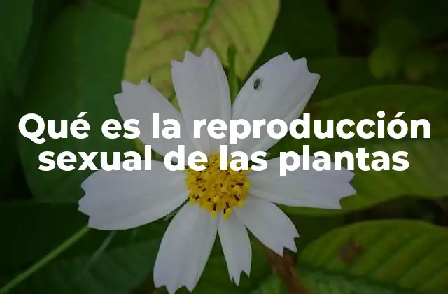 Qué es la Reproducción Sexual de las Plantas